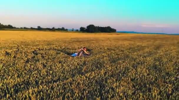 Femme peignant un tableau dans un champ de blé, peinture acrylique de blé. Coucher de soleil. Le soleil brille dans la caméra. Le rétroéclairage aveugle l'objectif de la caméra. Une façon moderne de créer un tableau en peignant avec un — Video