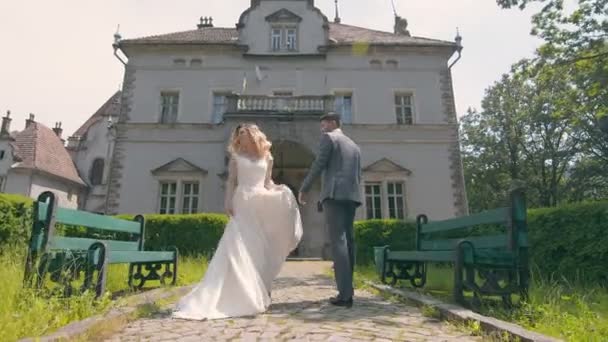 Young wedding couple in love newlyweds walking in a fabulous sunny park on a background of green trees. Brides walk in the park on a sunny day. — Stock Video