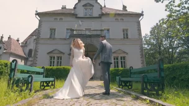 Joven pareja de novios enamorados recién casados caminando en un fabuloso parque soleado sobre un fondo de árboles verdes. Las novias caminan en el parque en un día soleado. — Vídeo de stock