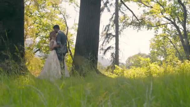 Młoda para, która spotkała się w lesie przy drzewach na tle słońca. Nowożeńcy delikatnie dotykają rąk i patrzą sobie w oczy.. — Wideo stockowe