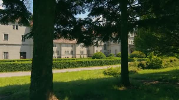 Jeune couple amoureux de jeunes mariés marchant dans un fabuleux parc ensoleillé sur fond d'arbres verts. Les mariées marchent dans le parc par une journée ensoleillée. — Video