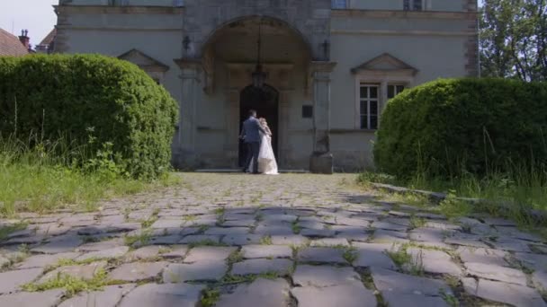 Jeune couple amoureux de jeunes mariés marchant dans un fabuleux parc ensoleillé sur fond d'arbres verts. Les mariées marchent dans le parc par une journée ensoleillée. — Video