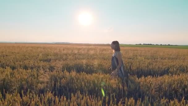 女性の黄金の小麦のフィールドに夕日のカメラに直面して歩く。笑顔で手で小麦に触れている女性. — ストック動画