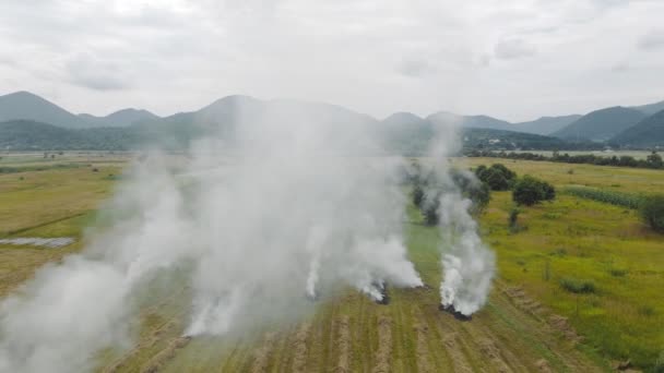 Havadan uçanlar tarlalarda kuru ot yakarlar. Tarlada yangın ve dumanlı bir arazide uçmak.. — Stok video