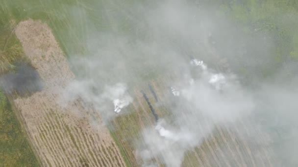 Widok z lotu ptaka. Ludzie palą trawę na polach. Ogień w polu i latanie nad zadymionym polem. — Wideo stockowe
