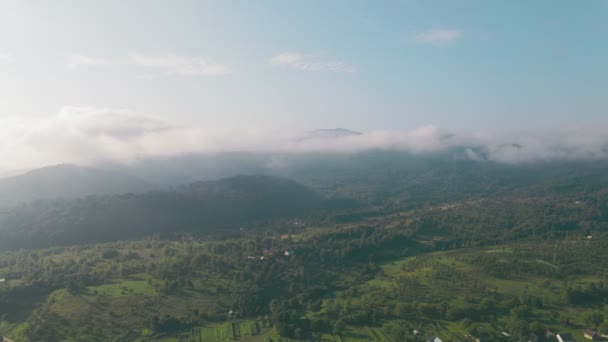 Ráno přeletěl přes hory. Horské pásmo na obzoru je pokryto ranní mlhou. Let dronem nad zelenými stromy v rakovinné slunečné době. — Stock video