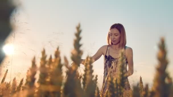 Wanita melukis gambar di ladang gandum, cat akrilik gandum. Sebuah cara modern untuk membuat gambar dengan melukis dengan beberapa cat gandum di atas kanvas. — Stok Video