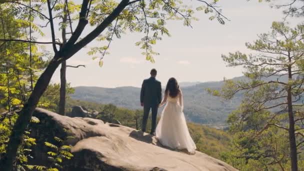 Um casal feliz de noivas estão na montanha com as costas para a câmera e olhar para a distância nas montanhas cobertas de árvores. Olhando para o futuro de um jovem casal apaixonado. — Vídeo de Stock