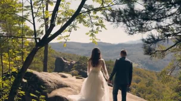 사랑하는 신혼 부부가 푸른 나무들이 있는 아름다운 양지바른 공원을 걷고 있습니다. 화창 한 날 공원을 걷는 신부들. — 비디오
