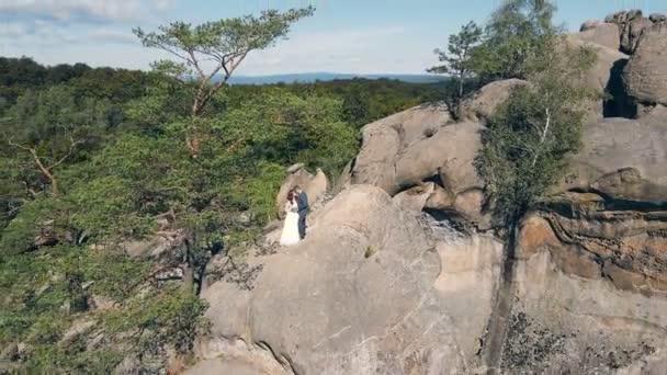 Pareja de boda en roca de montaña de dron. Vista aérea Felices recién casados enamorados abrazándose de pie en la cima de la montaña. — Vídeos de Stock