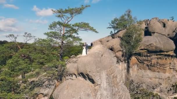 Pareja de boda en roca de montaña de dron. Vista aérea Felices recién casados enamorados abrazándose de pie en la cima de la montaña. — Vídeos de Stock