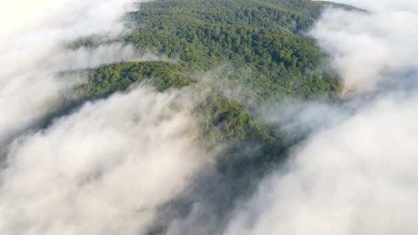 Manhã nevoeiro fabuloso que cobre as montanhas. Topo aéreo Vista de árvores verdes cobertas com névoa grossa — Vídeo de Stock