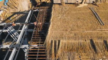 Kuru saman ve samanla dolu büyük bir evin çatısı. Çatıyı döşeyen işçiler.