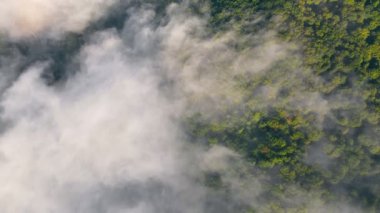 Dağları kaplayan muhteşem sabah sisi. Kalın sisle kaplı yeşil ağaçların havadan görünüşü
