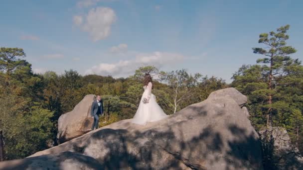 A happy couple of brides stand on the mountain with their backs to the camera and look into the distance at the mountains covered with trees. Looking into the future of a young couple in love. — Stock Video