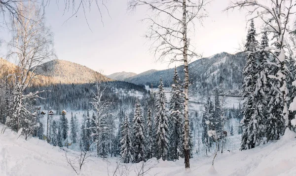 At the very end of December, our group of 20 people decided to spend the new year in the mountains. Russia . Kuznetsk Alatau.