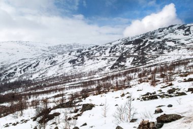 Dağ Konzhak, Kuzey Urallar yükseliş. Rusya.