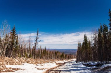 Dağ Konzhak, Kuzey Urallar yükseliş. Rusya.