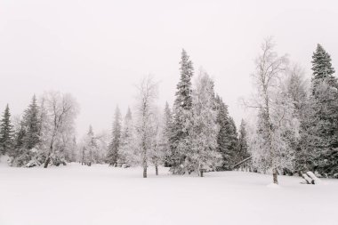 Zigalga dağ tırmanışı. Ural Rusya.