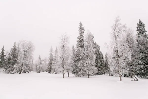 Zigalga dağ tırmanışı. Ural Rusya.