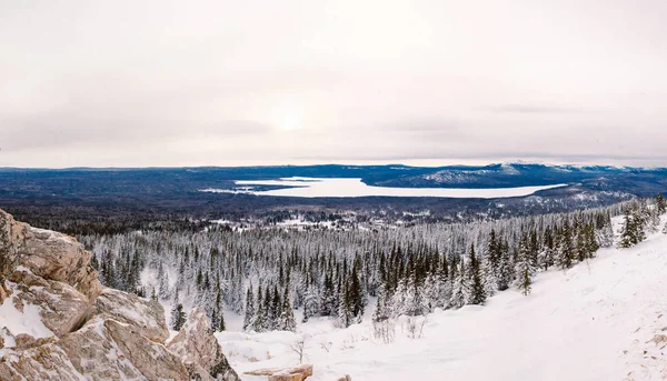 Verschneiter Wald Auf Dem Gipfel Des Berges — Stockfoto
