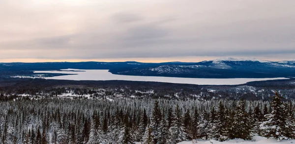 Snöig Skog Toppen Berget — Stockfoto