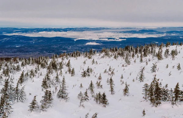 Panoramautsikt Över Översikt Från Zyuratkul Mountain — Stockfoto