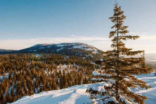 Panoramisch Uitzicht Vanaf Berg Naakte Sopka — Stockfoto