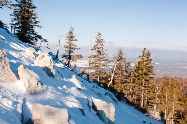 Panoramautsikten Från Berget Nakna Sopka — Stockfoto