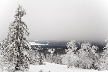 Dağ orman üzerinde bulutlu gökyüzü. Sverdlovsk bölge. Rusya.