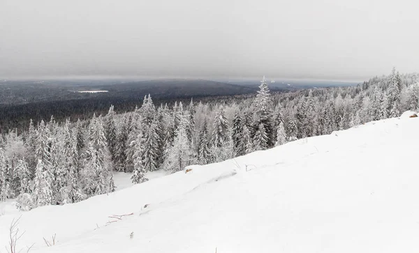 Bewolkte Hemel Boven Het Bergbos Sverdlovsk Regio Rusland — Stockfoto