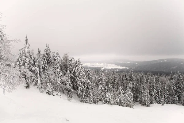 Ciel Nuageux Dessus Forêt Montagne Région Sverdlovsk Russie — Photo