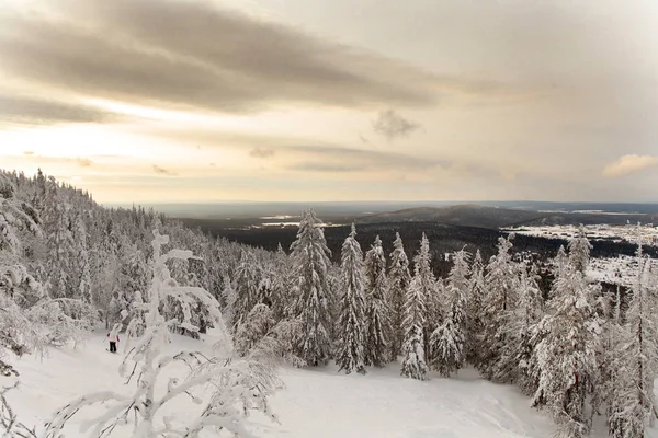 Могутній Сніговий Ліс Горі Білий — стокове фото