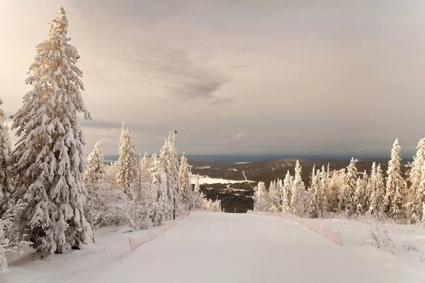 Mäktiga Snö Skog Berget Vit — Stockfoto