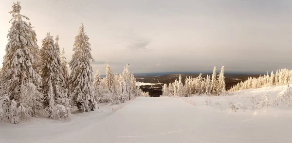 Mäktiga Snö Skog Berget Vit — Stockfoto