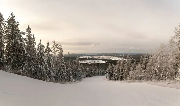 Mäktiga Snö Skog Berget Vit — Stockfoto