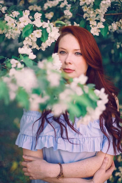 Model Red Hair Posing Blooming Apple Tree — Stock Photo, Image