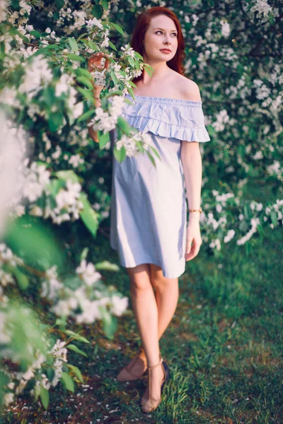 Model Red Hair Posing Blooming Apple Tree — Stock Photo, Image