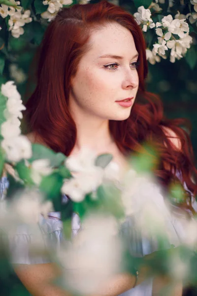 Model Red Hair Posing Blooming Apple Tree — Stock Photo, Image