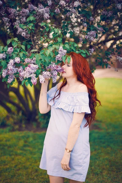 Red Haired Model Poses Summer Dress Blooming Lilacs — Stock Photo, Image
