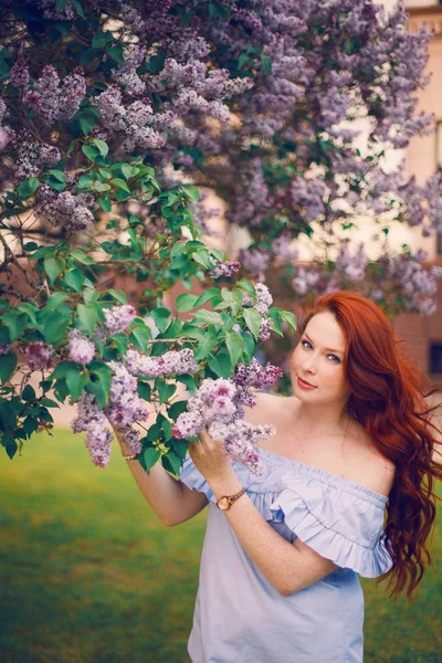 Red Haired Model Poses Summer Dress Blooming Lilacs — Stock Photo, Image