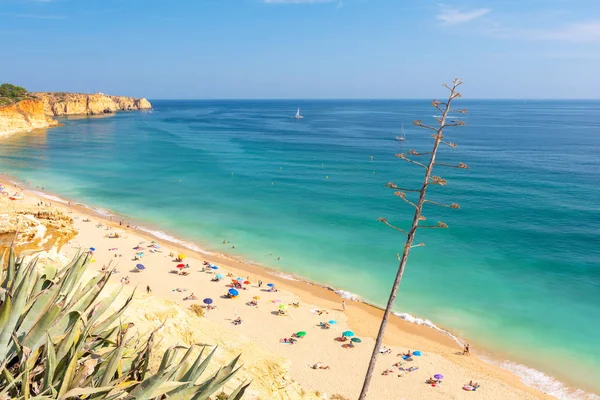 Peria Porto Algarve Portugal — 스톡 사진