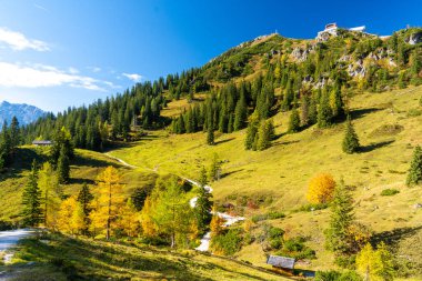 Almanya 'da sonbaharda Bavyera Alpleri' ndeki Berchtesgaden Ulusal Parkı 'ndaki Jenner Dağı manzarası
