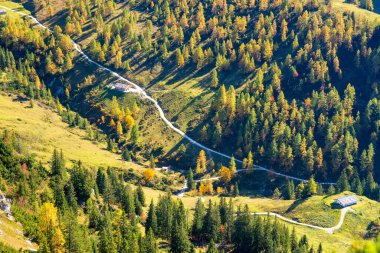 Almanya 'daki Bavyera Alpleri' ndeki Alp ormanları ve çayırlar boyunca uzanan yol