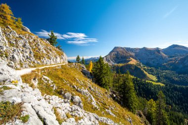 Almanya 'da Berchtesgaden' de sonbahar sırasında Bavyera Alplerinde yol