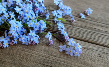 Eski bir ahşap masaya değil çiçek unut beni