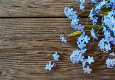 forgetmenot çiçek ahşap zemin
