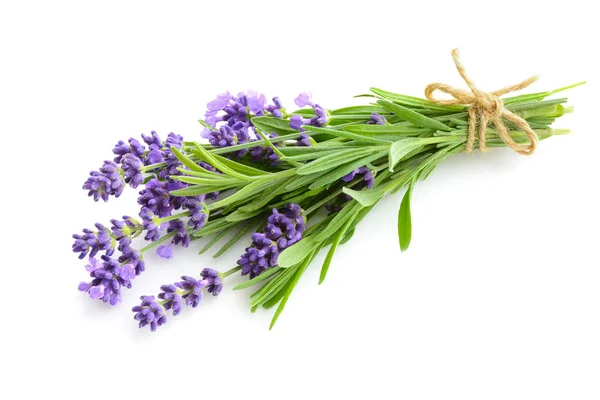 Lavendel bloemboeket op een wit — Stockfoto