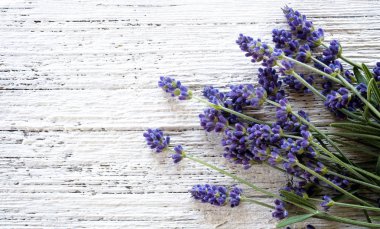 Lavanta arka plan üstten görünüm