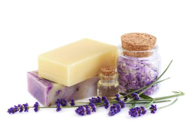 Spa ürünleri ve lavanta çiçekleri beyaz bir arka plan üzerinde